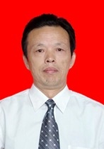 陈波