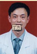 丁力