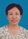 白兰凤