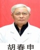 胡春申