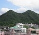 张敏