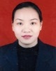 甘玲