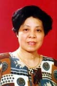文丹