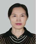 董金凤