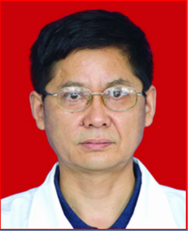 王善君