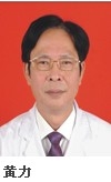 黄力