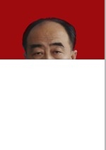樊刚