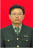 杨柳风