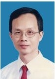 杨枫