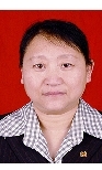 段敏