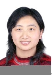 杨燕