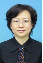 孙力