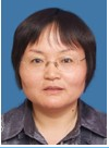 张英泽
