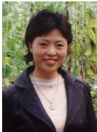 陈元美