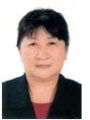 宋和平