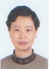 陈新静
