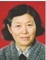 杨少文