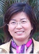 孙桦