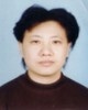 张桂菊