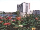 天津市环湖医院