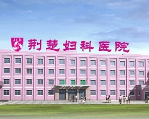 武汉荆楚妇科医院